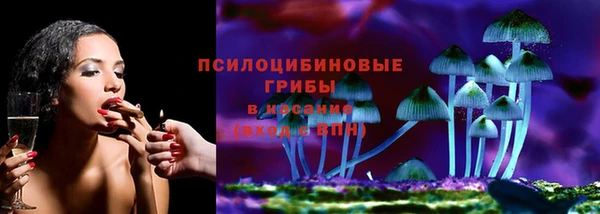 амф Беломорск