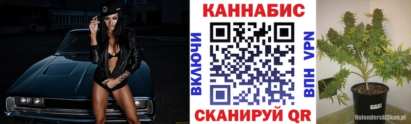 купить наркоту  Южа  Шишки марихуана семена 